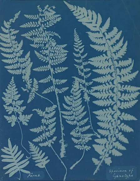 Cyanotype & Macramé - Fryston Community Centre