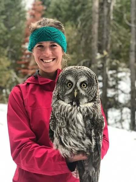 15th Annual Fall Forum: Great Gray Owls of the Yellowstone Ecosystem