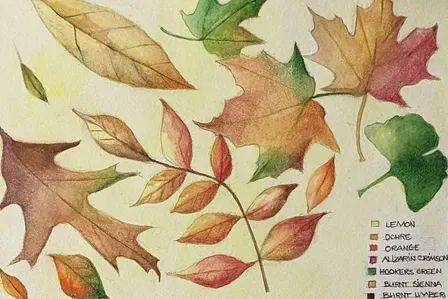 Autumn Watercolour Workshop