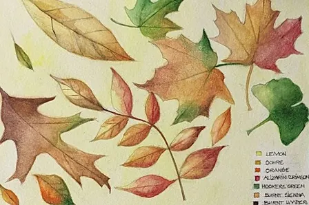 SOLD OUT: Autumn Watercolour Workshop