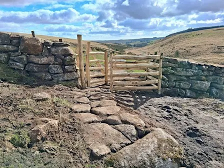 Brimpts Farm and Wistman's Wood, Dartmoor