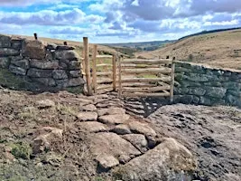 Brimpts Farm and Wistman's Wood, Dartmoor