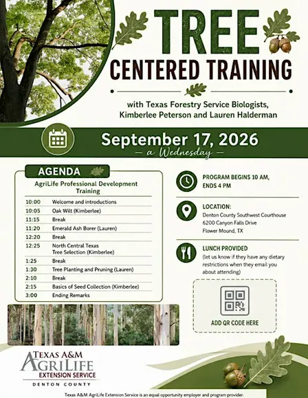 Tree Centered Training