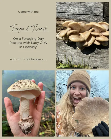 19th September 2026: Autumn Foraging & Feast Workshop