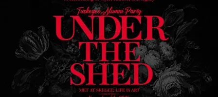 Under the Shed