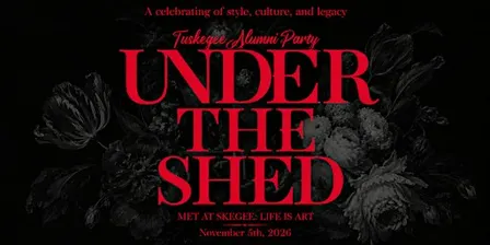 Under the Shed