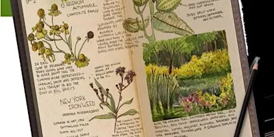 Introduction to Nature Journaling with Tiffaney Datillo