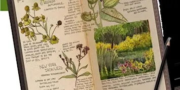 Introduction to Nature Journaling with Tiffaney Datillo