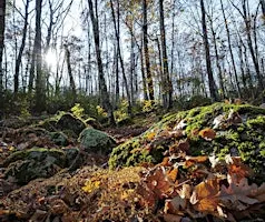Hopkinton Resilient Land Initiative:  Community Design Workshop