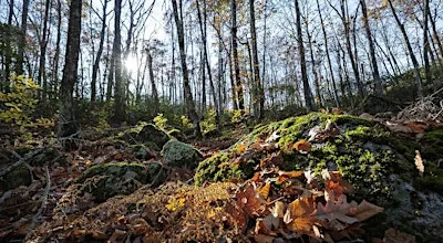 Hopkinton Resilient Land Initiative: Community Design Workshop