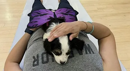 Rescue Puppy Yoga Halloween  - Margaret Maddox family YMCA East center
