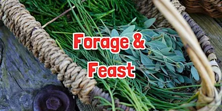 FORAGE & FEAST in Bransford (Worcestershire)