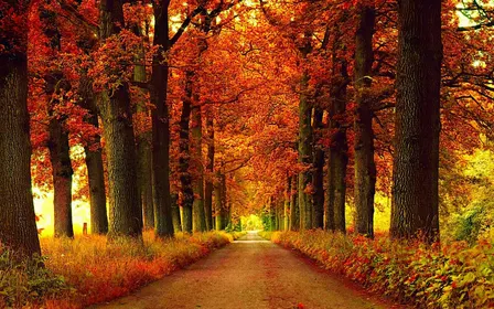 Autumn Equinox Party