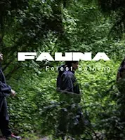 Forest Bathing- Hadley Wood