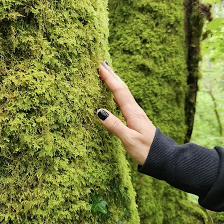 NatureWell