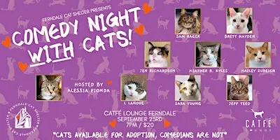 Comedy Night with Cats!