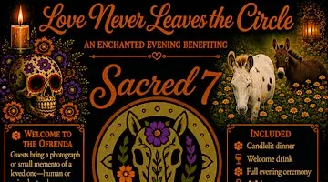 Witchy Women Fundraiser for Animals