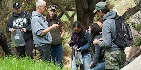 Eco-Friendly Foraging - Plants Walk / Wild Food Tasting & Drinks