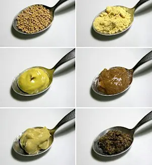 Micro Class: Mustard—History, Craft, Tasting, and Pairings, $50