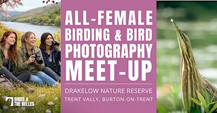 All-Female Birding & Bird Photography Morning