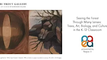 Seeing the Forest Through Many Lenses