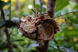 Build-a-bee hotel
