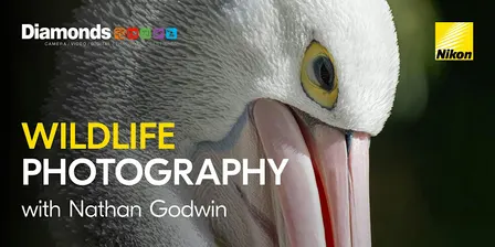 The Art of Wildlife Photography with Nathan Godwin