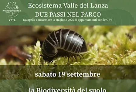 La Biodiversità del suolo