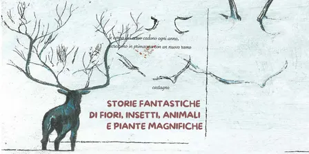 Fili d'erba… Intrecci di storie – Letture per bambini a Taneto di Gattatico