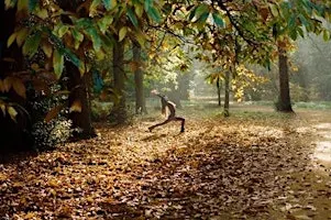 Autumn Equinox Yoga Retreat Afternoon