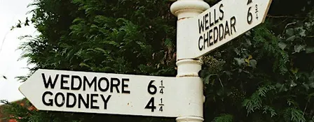 Business & Community Network - Wedmore, Cheddar area