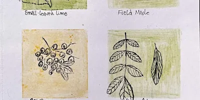 Plants and Pigments Workshop - College Lake, Thursday 24 September