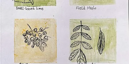 Plants and Pigments Workshop - College Lake, Thursday 24 September