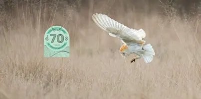 Wild Walk - Owlish Observations at Cossington Meadows