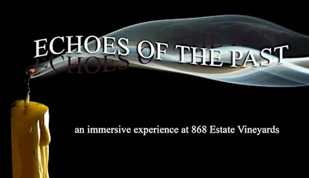 Echoes of the Past at 868