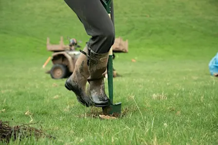 Landowner Workshop: funding and advice for planting trees on your farm