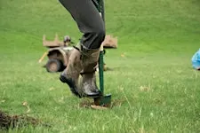 Landowner Workshop: funding and advice for planting trees on your farm