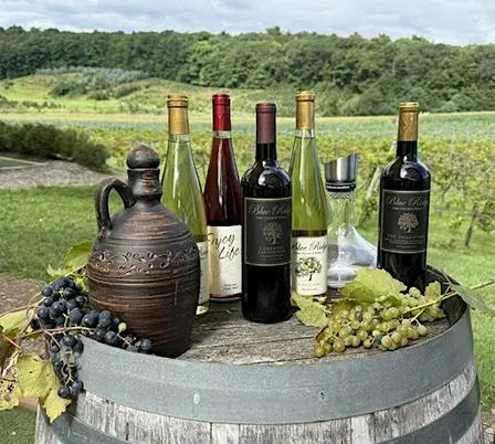 The All-Access Winery Experience