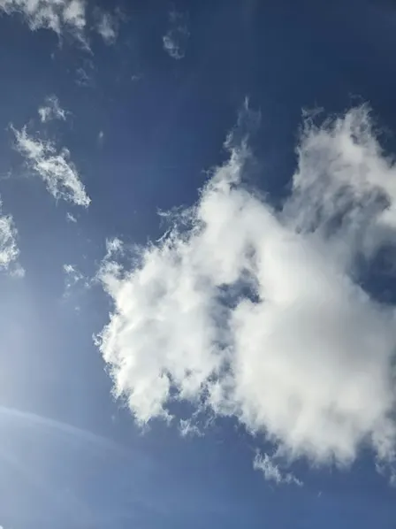 Breathwork for your Nervous System