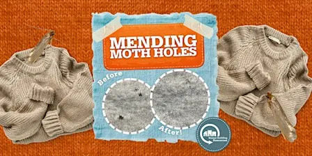 Mending Moth Holes