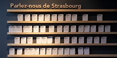 Visite guidée de l'exposition "Un voyage à Strasbourg"