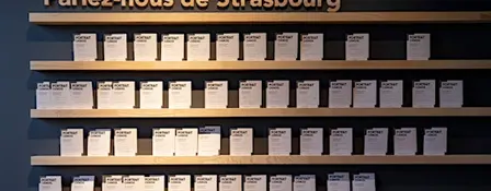 Visite guidée de l'exposition "Un voyage à Strasbourg"