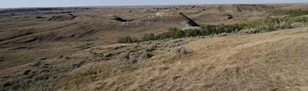 Knowledge Sovereignty and Grasslands Conservation
