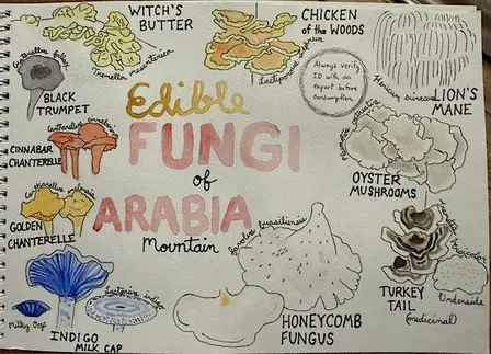 Intro to Nature Journaling