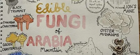 Intro to Nature Journaling