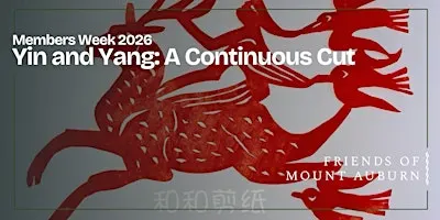 Members Week 2026: Yin and Yang: A Continuous Cut