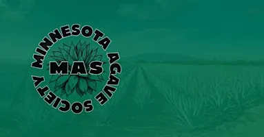 LIVE MAS Agave Spirits Tasting