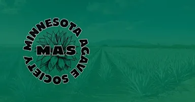 LIVE MAS Agave Spirits Tasting