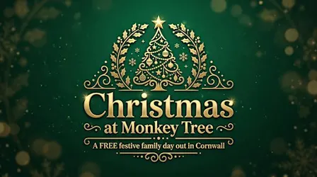Christmas at Monkey Tree