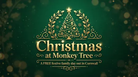Christmas at Monkey Tree